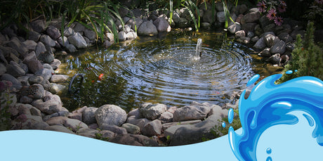 How to Build a Fish Pond or Water Feature