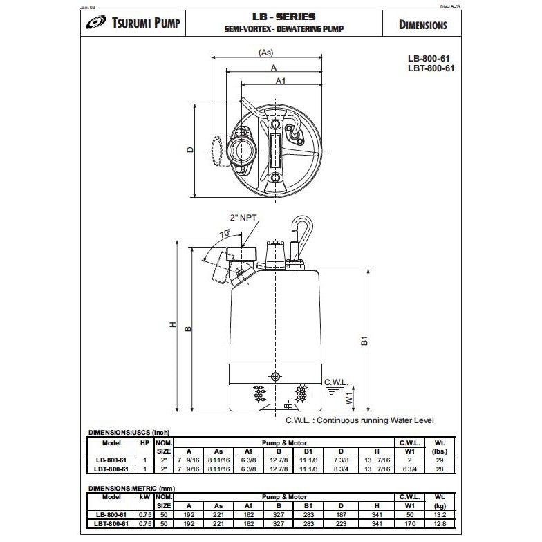 Tsurumi LB-800 Sump Pump - 1/115V and 1/110V