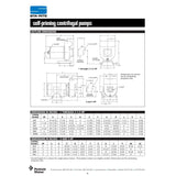 Sta-Rite DHHG 2 1/2 H.P. 1/220V, Self Priming Centrifugal Pump with a 2" discharge.