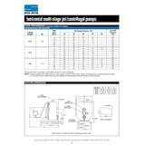 Sta-Rite HMSE 1 H.P. 1/115-220V, Horizontal Multi-Stage DeepWell Jet Pump with a 1" discharge.